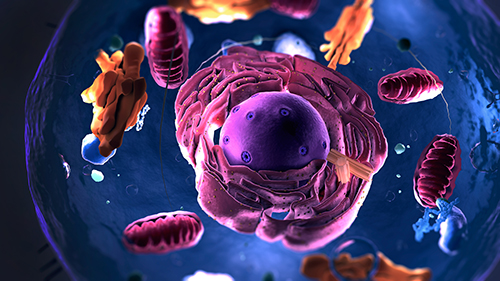 Crosstalk Between Protein Post-Translational Modifications